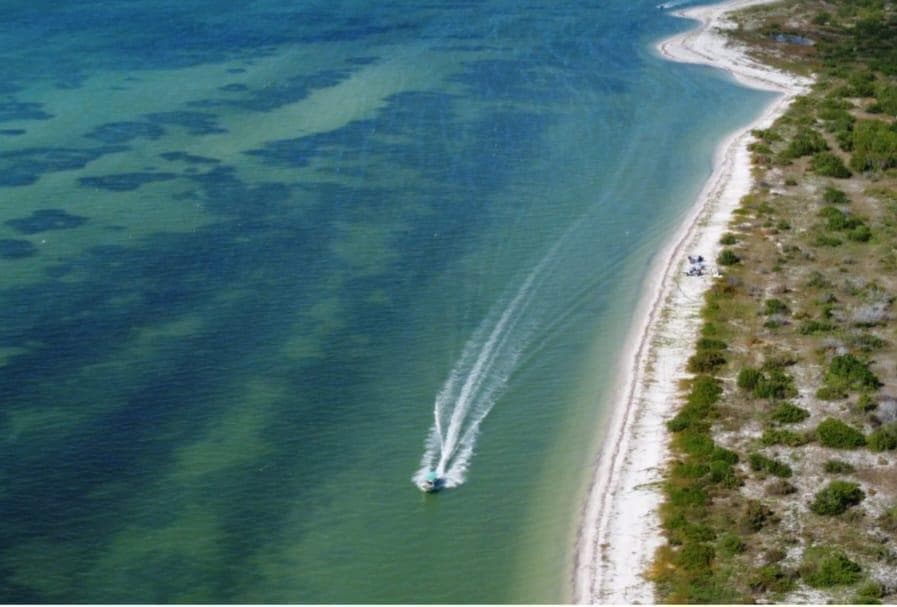 BEACHFRONT PROPERTY FOR SALE IN CELESTÚN, YUCATÁN | BEACH AND HIGH APPRECIATION POTENTIAL