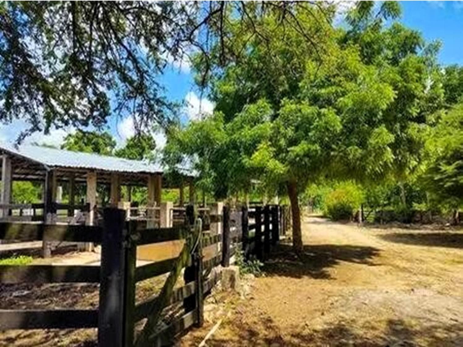 Ranch in Hocaba at kilometer 40 of the Mérida-Cancún Highway