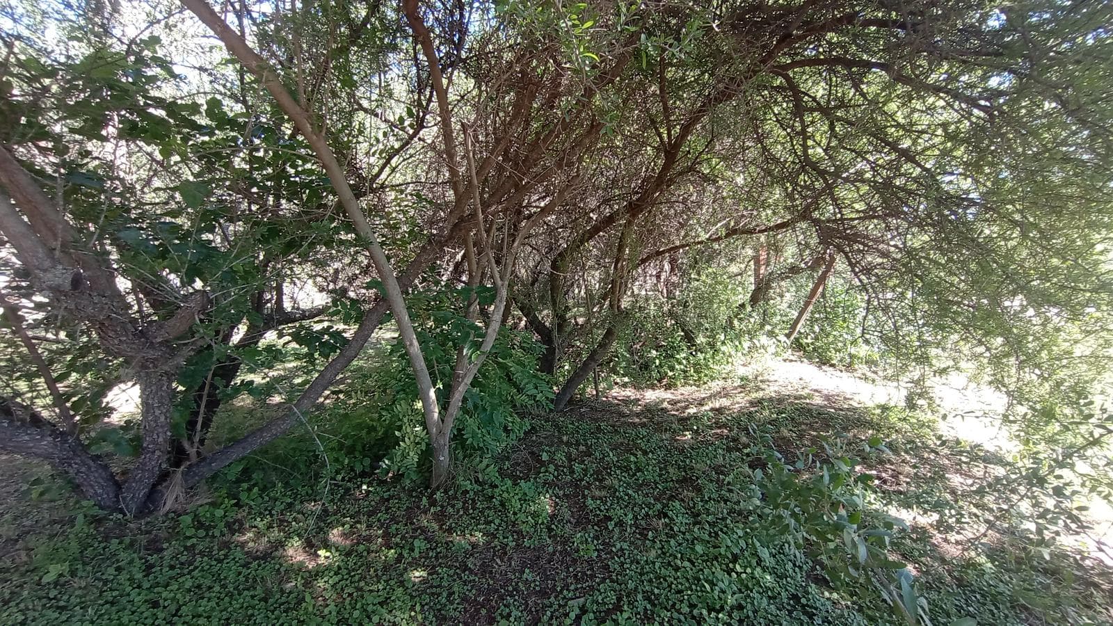 House in Arroyo de los Patos | Natural Setting | Ideal for Living or Relaxing