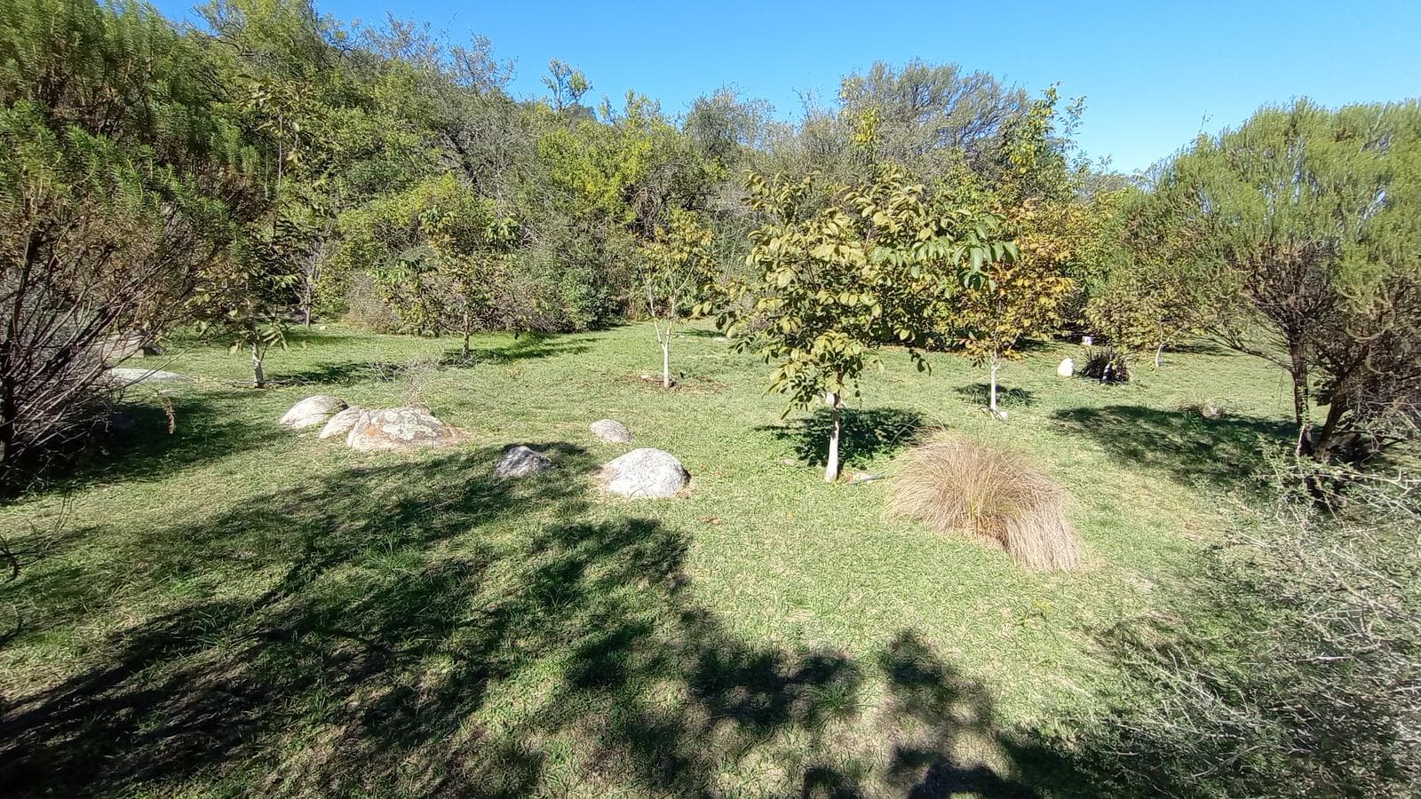 High-Altitude Ranch in Villa de Las Rosas | 2.5 Hectares | Nestled Between Mountains and Valleys