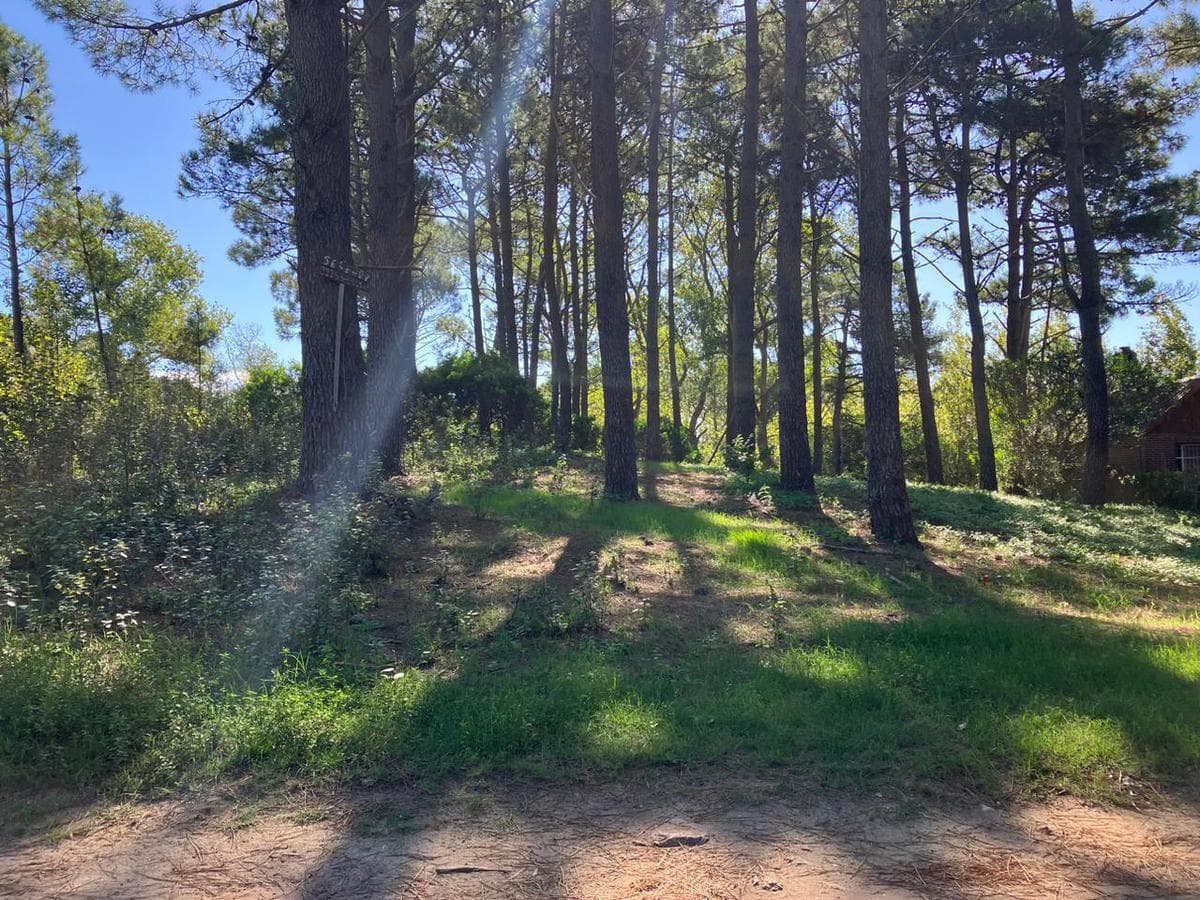 Deeded land in Las Gaviotas. Excellent tree cover and location