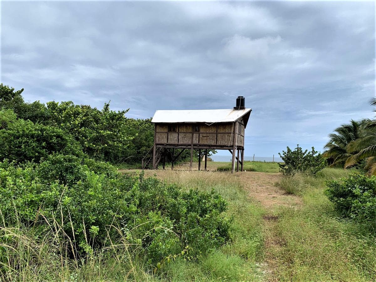 A 20 x 190-meter beachfront lot with a cabin. Located on the road to Dzilam de Bravo