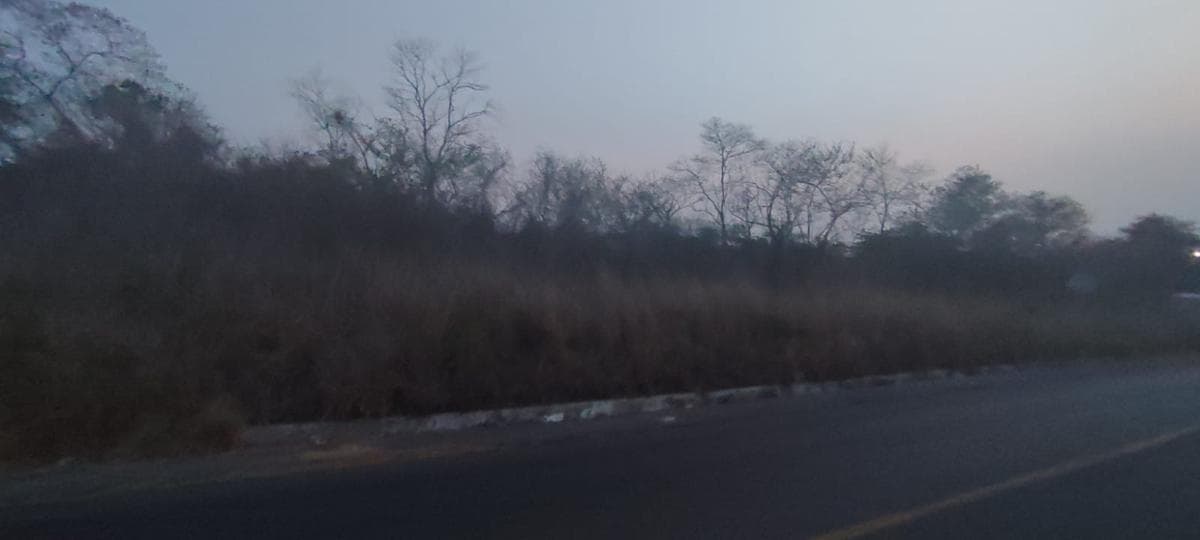 Land for Sale in Paso de Ovejas, Veracruz, Colonia San José