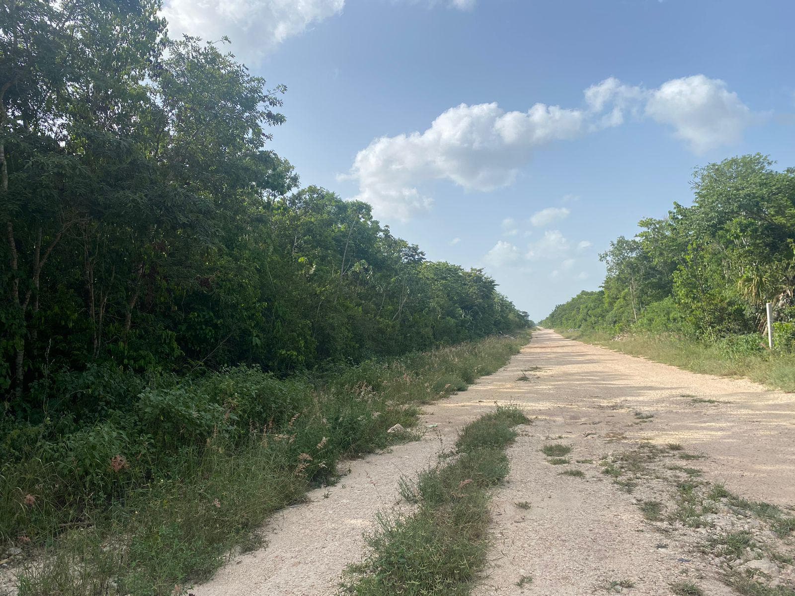 LAND FOR SALE IN CANCÚN ON THE MÉRIDA BYPASS