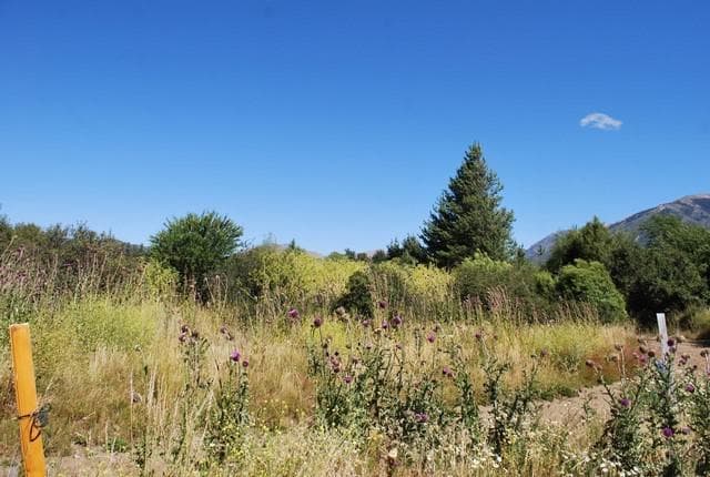 Subdivision in Lago Moreno - Bariloche