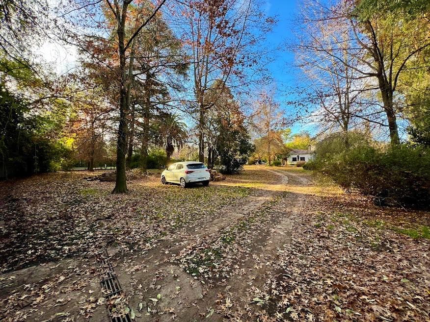 Beautiful lot with two houses - Pilar