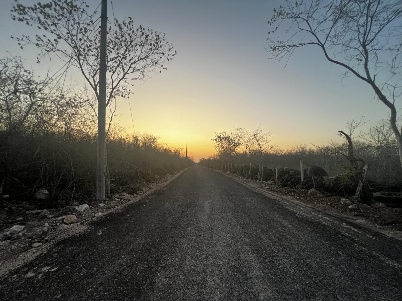 Land for SALE at an excellent price north of Mérida