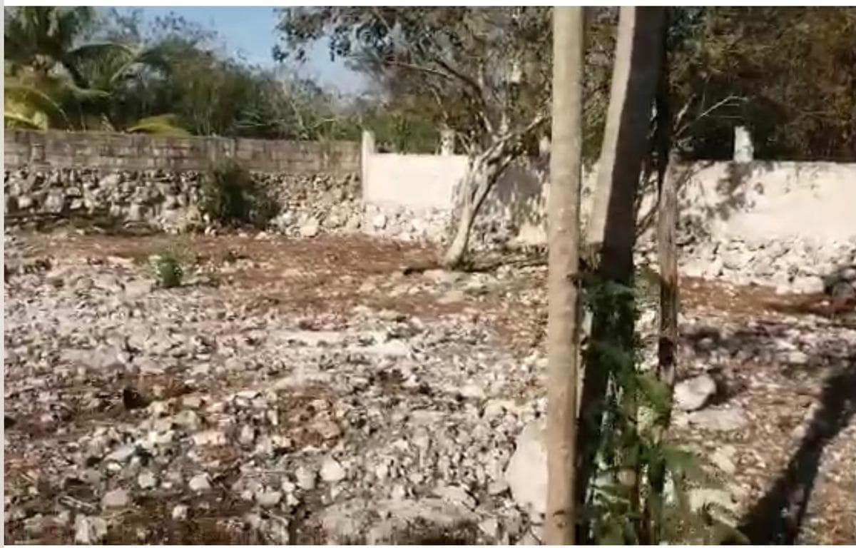Land - Progreso
