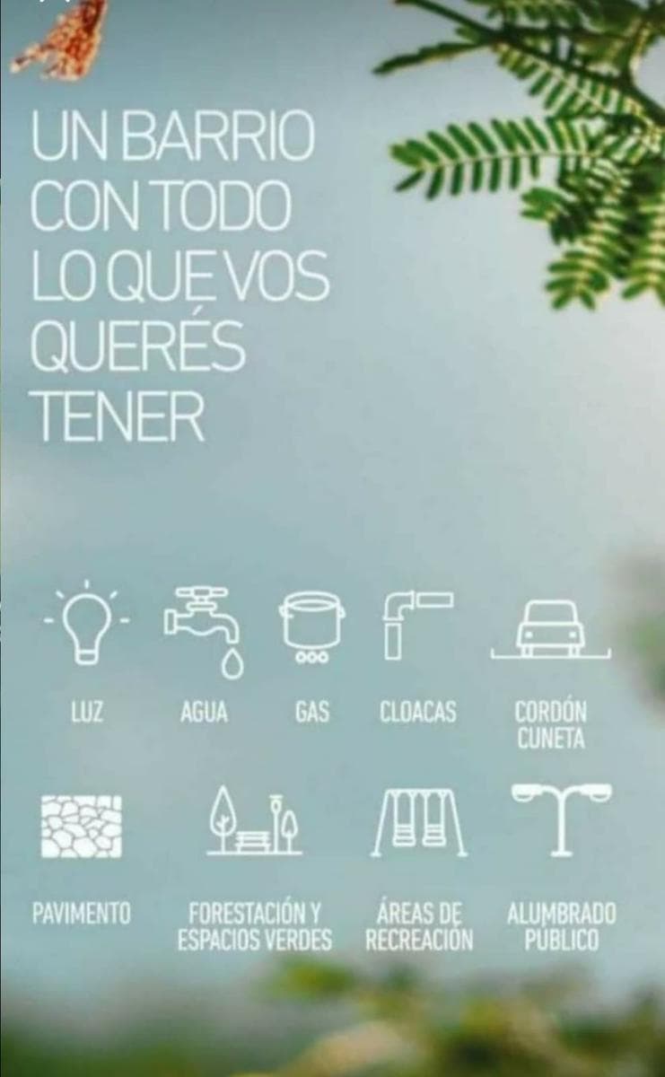 Land in Alvear