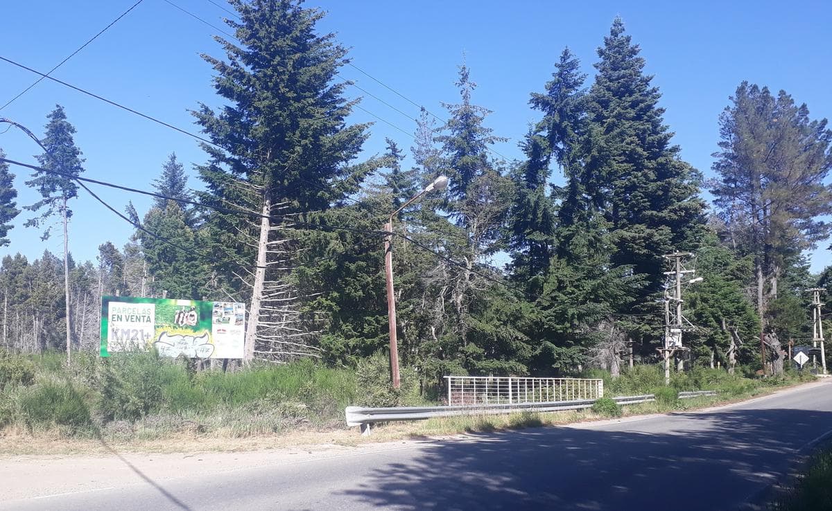 Plot suitable for a culinary tourism venture, Av. Bustillo, km 21 - Bariloche