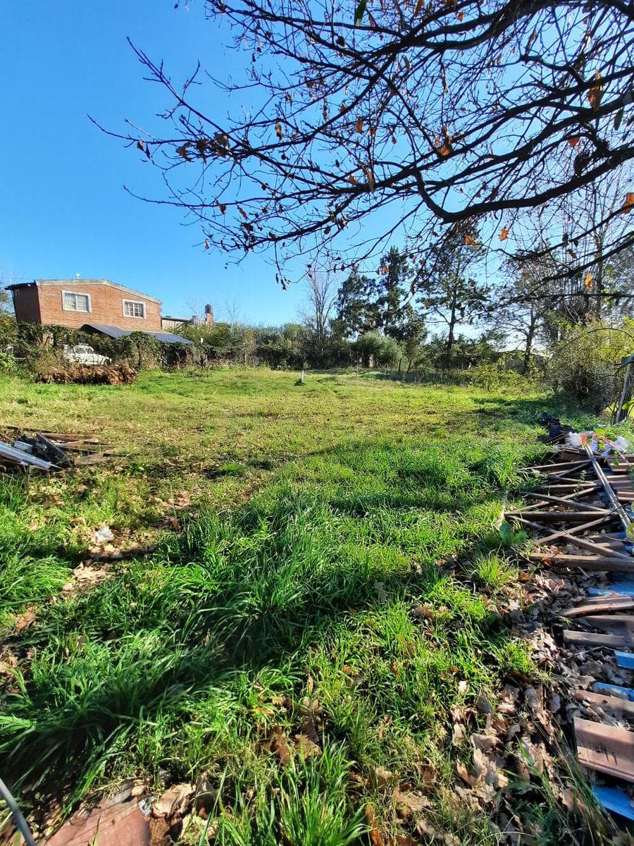 Land - General Belgrano Town