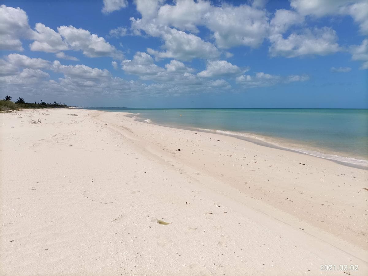 25-meter Oceanfront Lot in Sisal Sunset Beach, Yucata