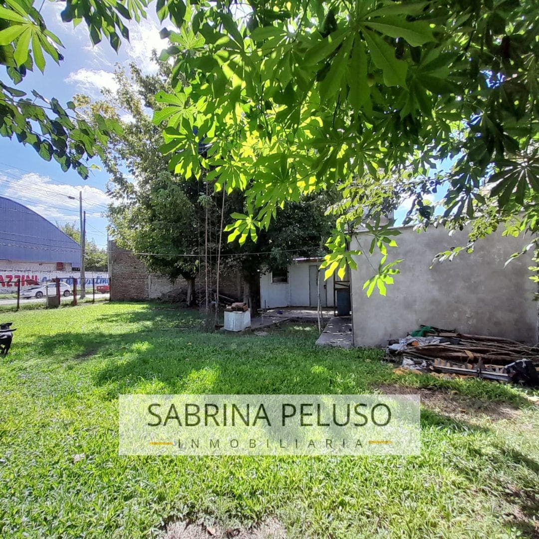 Lot in Carlos Spegazzini