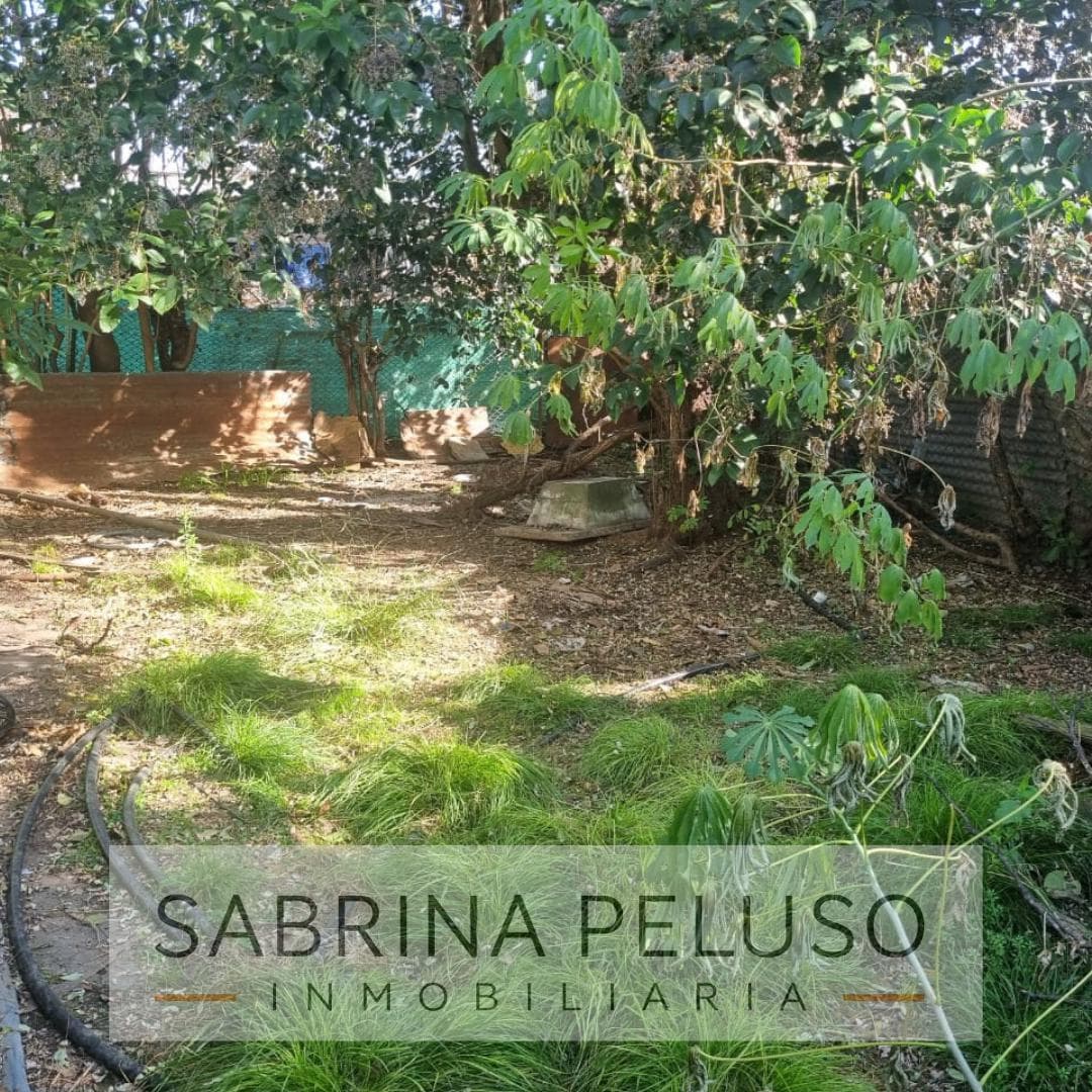 House for sale, in need of renovation