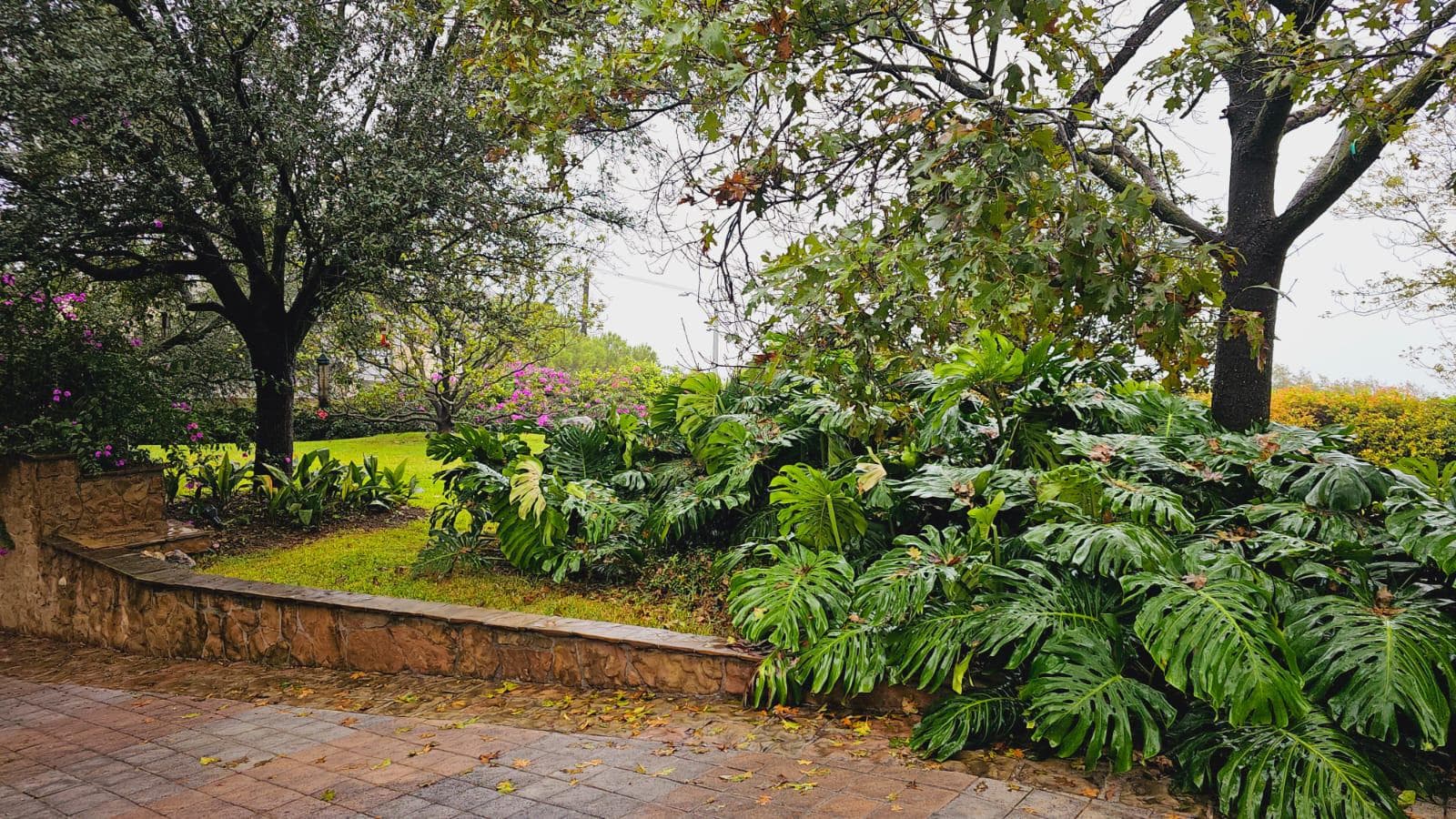 HOUSE FOR SALE IN VILLA MONTAÑA
