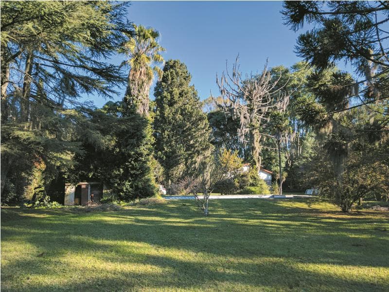 7,500 m² lot on Route 9. House in need of renovation. Funes.