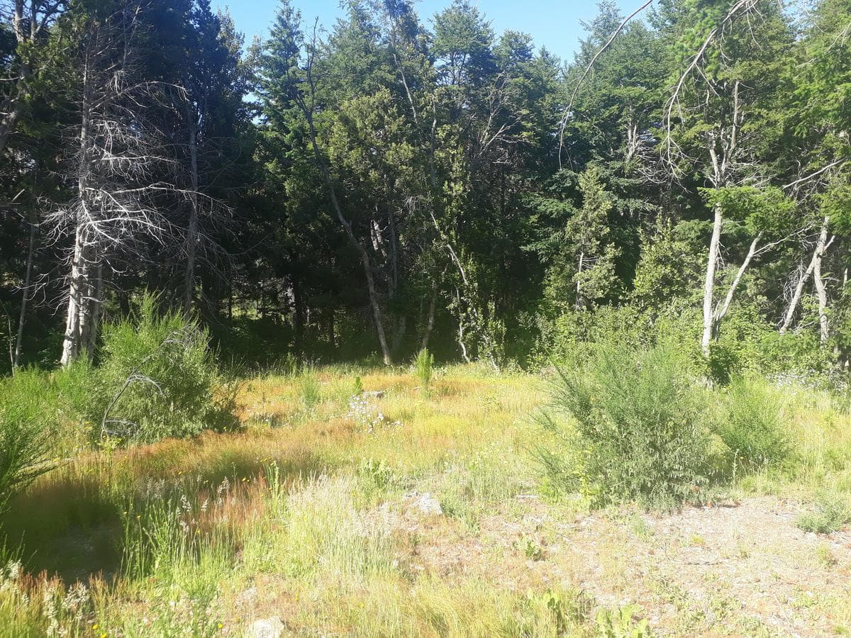 Plot suitable for a culinary tourism venture, Av. Bustillo, km 21 - Bariloche