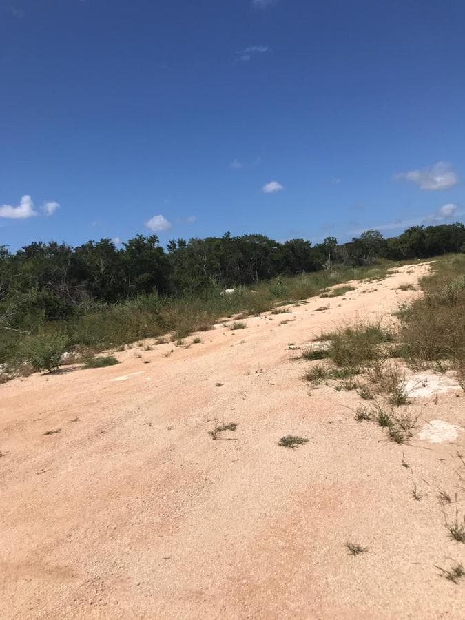 Land for Sale in Mérida, 2 Hac—Excellent Short-Term Investment—Mérida-Progreso Highway