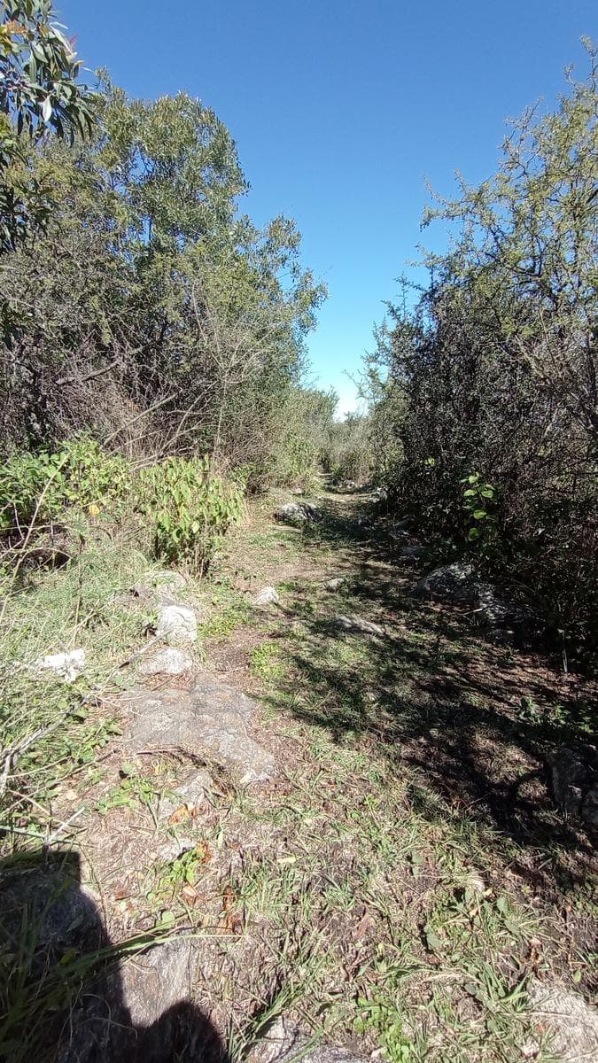 High-Altitude Ranch in Villa de Las Rosas | 2.5 Hectares | Nestled Between Mountains and Valleys