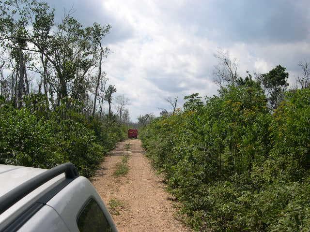 LAND FOR SALE IN CANCÚN IN LEONA VICARIO ON THE CANCÚN–MÉRIDA HIGHWAY