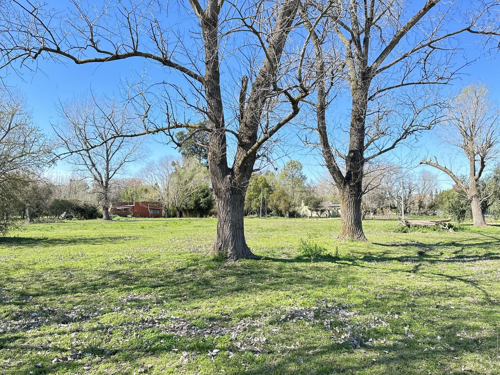 Land for Sale in Lobos: Country Home Lots of Nearly 1 ha