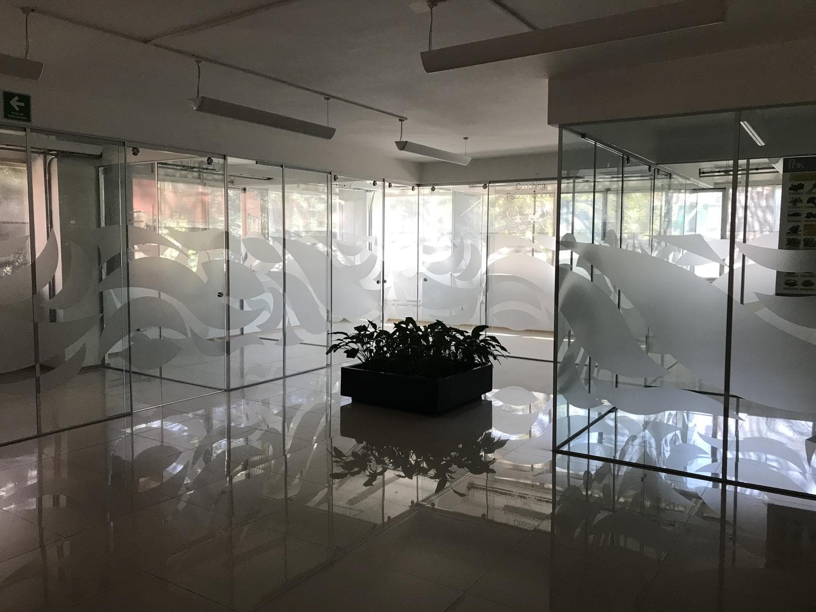 Commercial Office Building for Rent, Benito Juárez, Actipan Del Valle