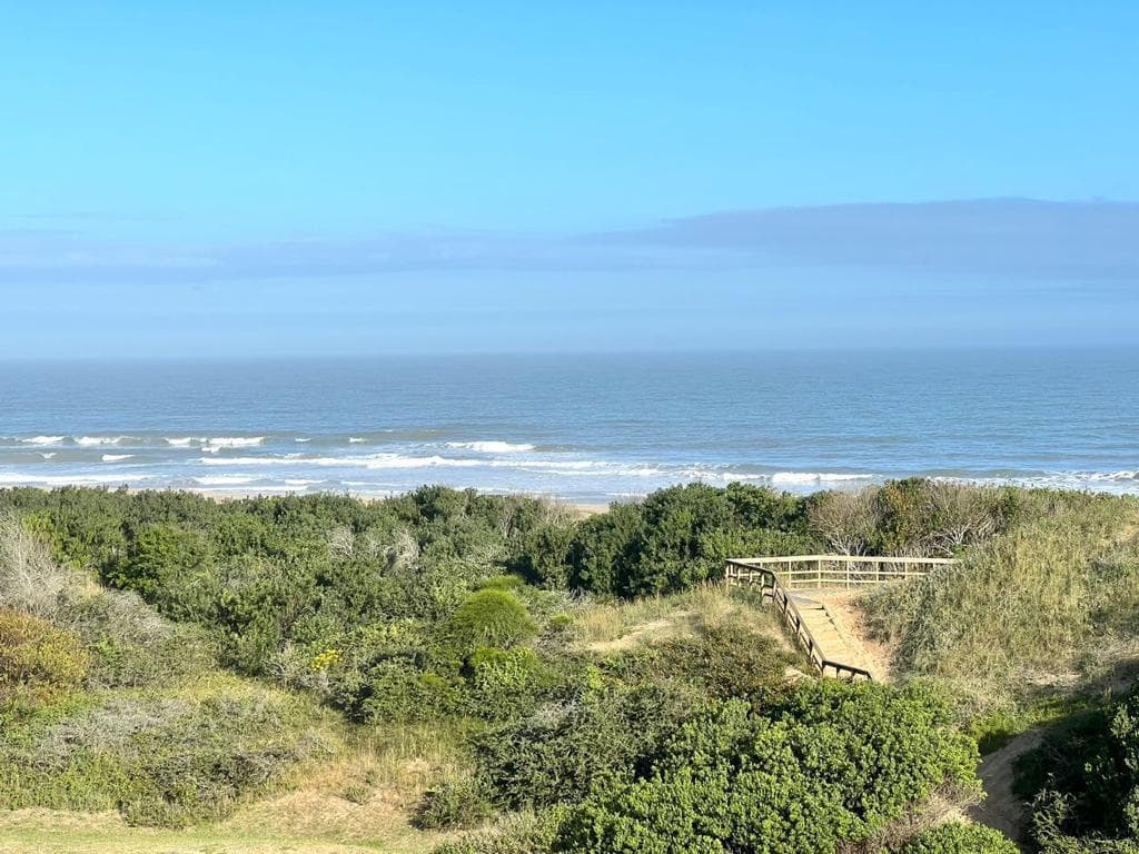 Punta del Este Apartment for Sale at Brava 28 TM4282529