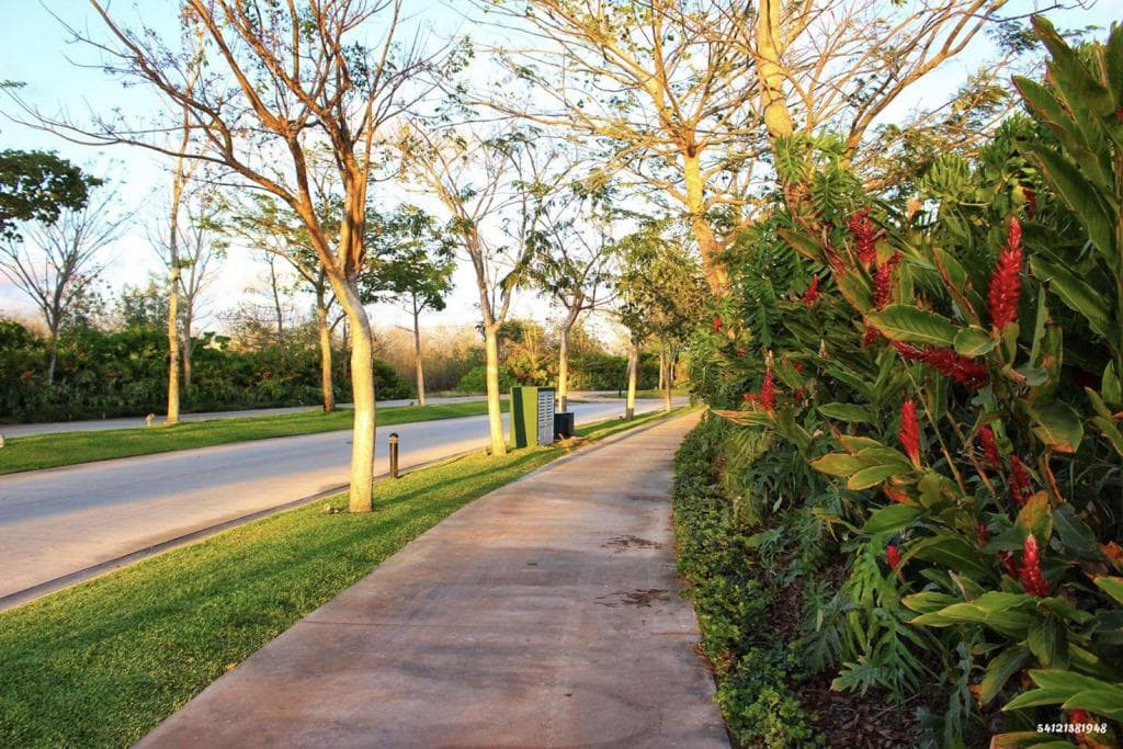 762 m² lot for sale in Cabo Norte, Temozón, Mérida, Yucatán.