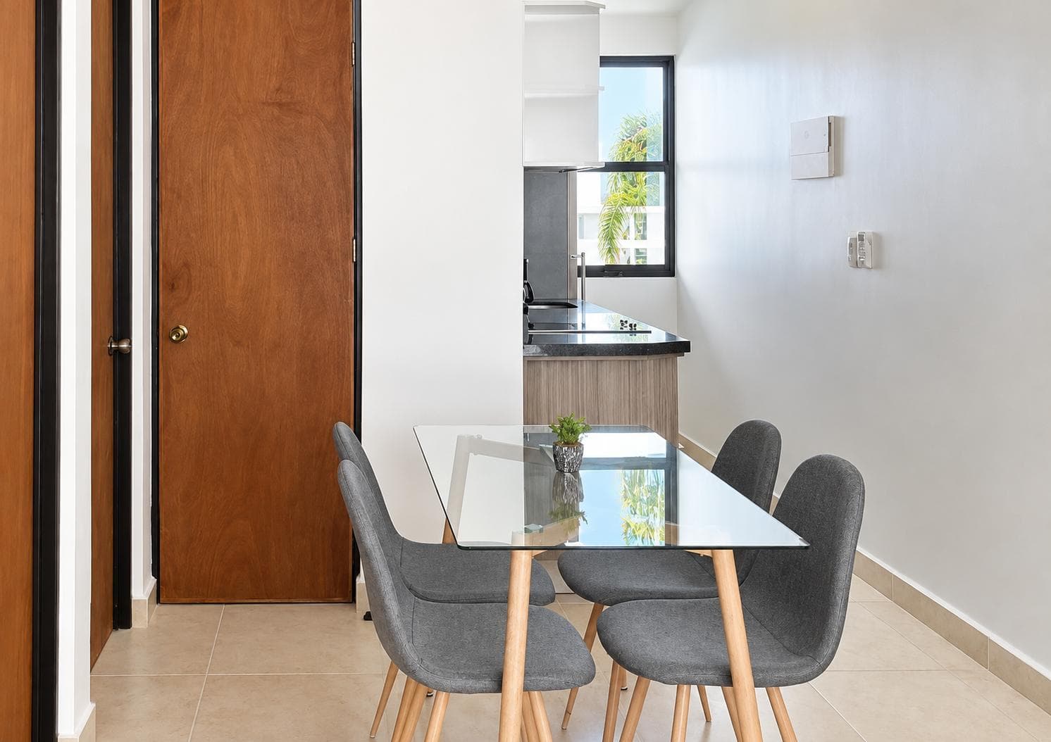 2-Bedroom Furnished Apartment for Rent in Playa Car, Playa del Carmen