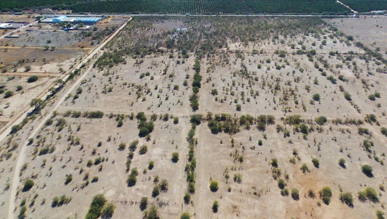 Vacant lot for sale in San Pedro el Saucito, Sonora