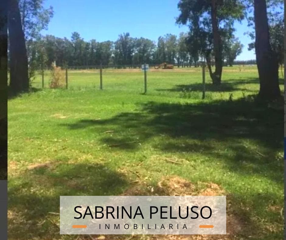 Land for Sale in Tres Pinos
