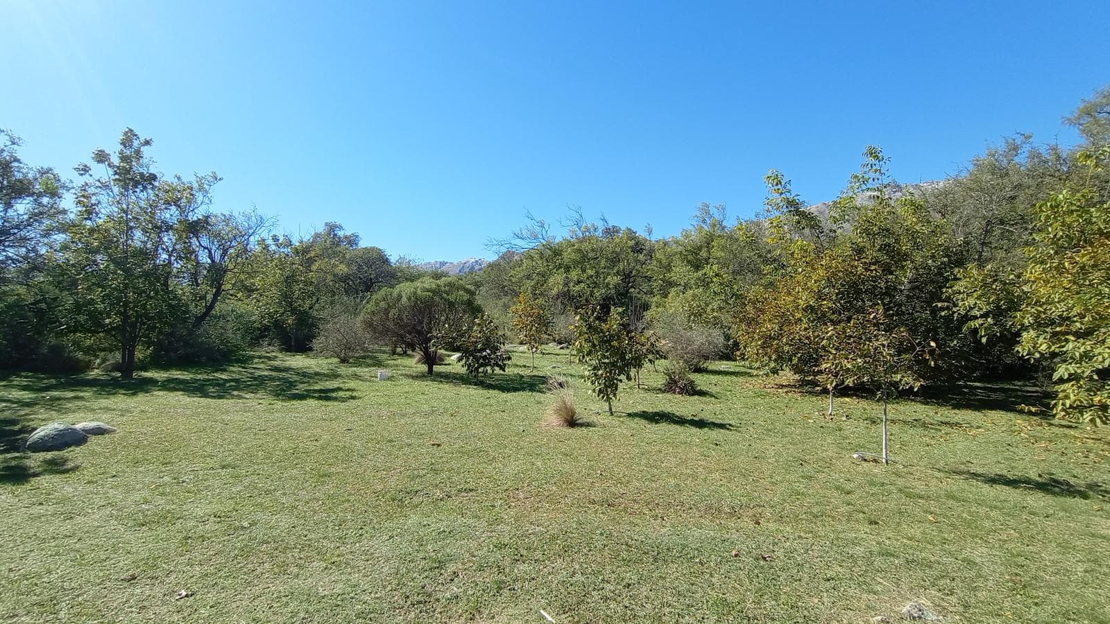 High-Altitude Ranch in Villa de Las Rosas | 2.5 Hectares | Nestled Between Mountains and Valleys