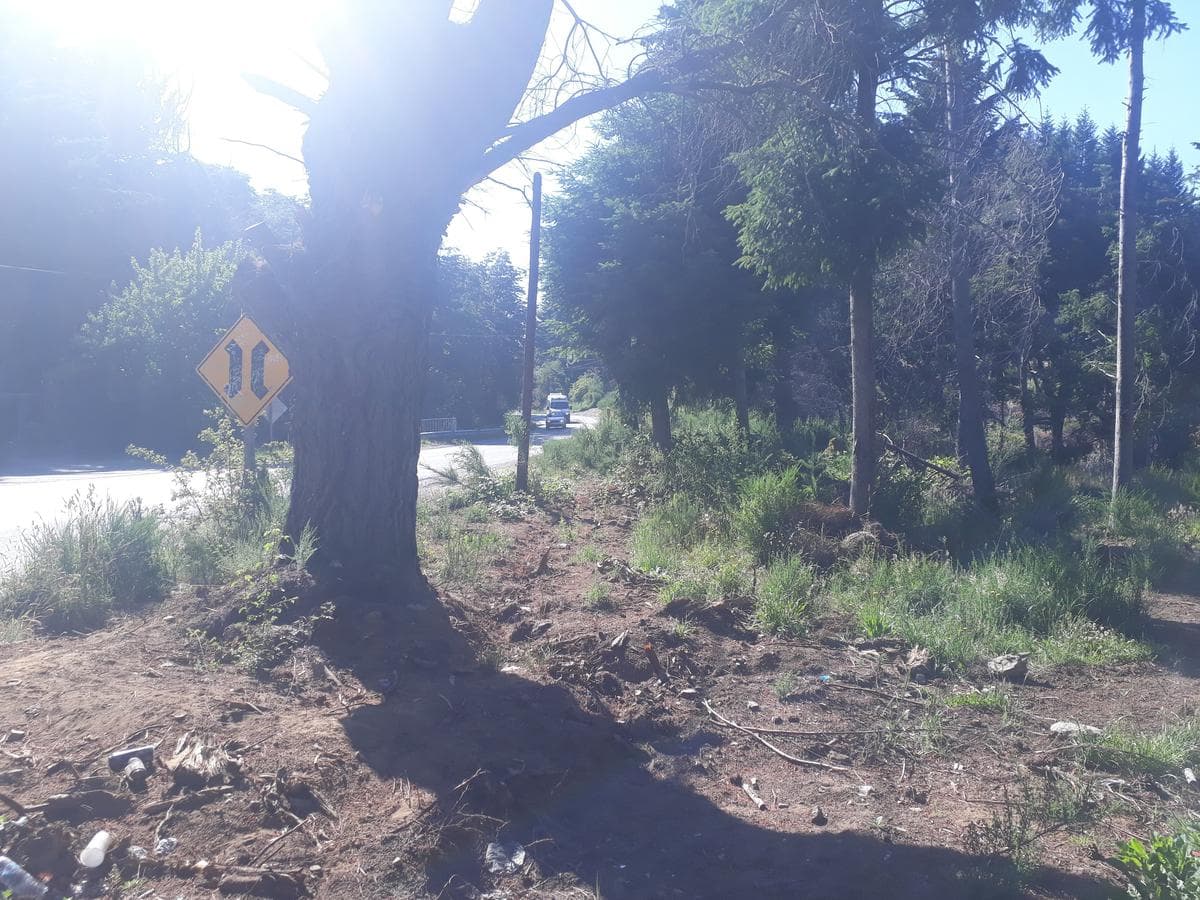 Lot suitable for a tourism venture, on Bustillo Road, km 21 - Bariloche
