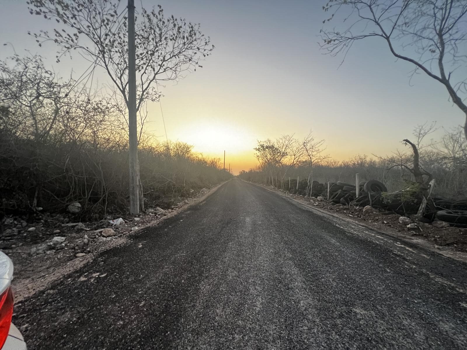 Land for SALE at an excellent price north of Mérida