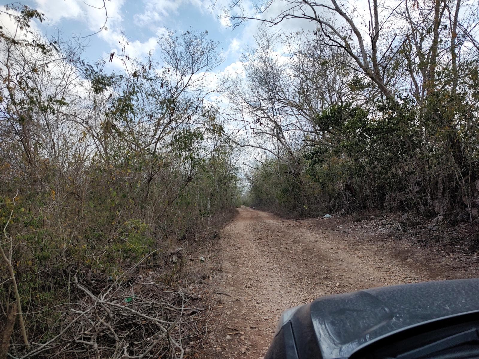 7.7 hectares along the Seyé–Canicab Highway