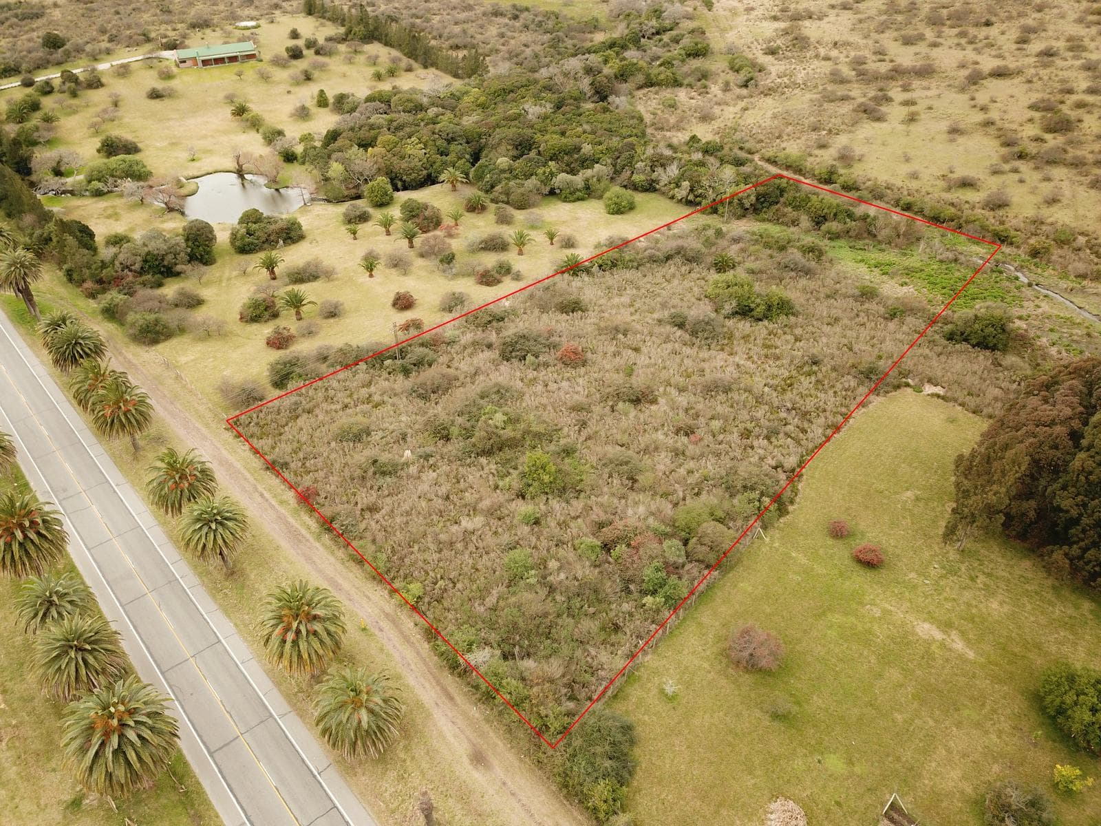 Beautiful, spacious lot on Route 1