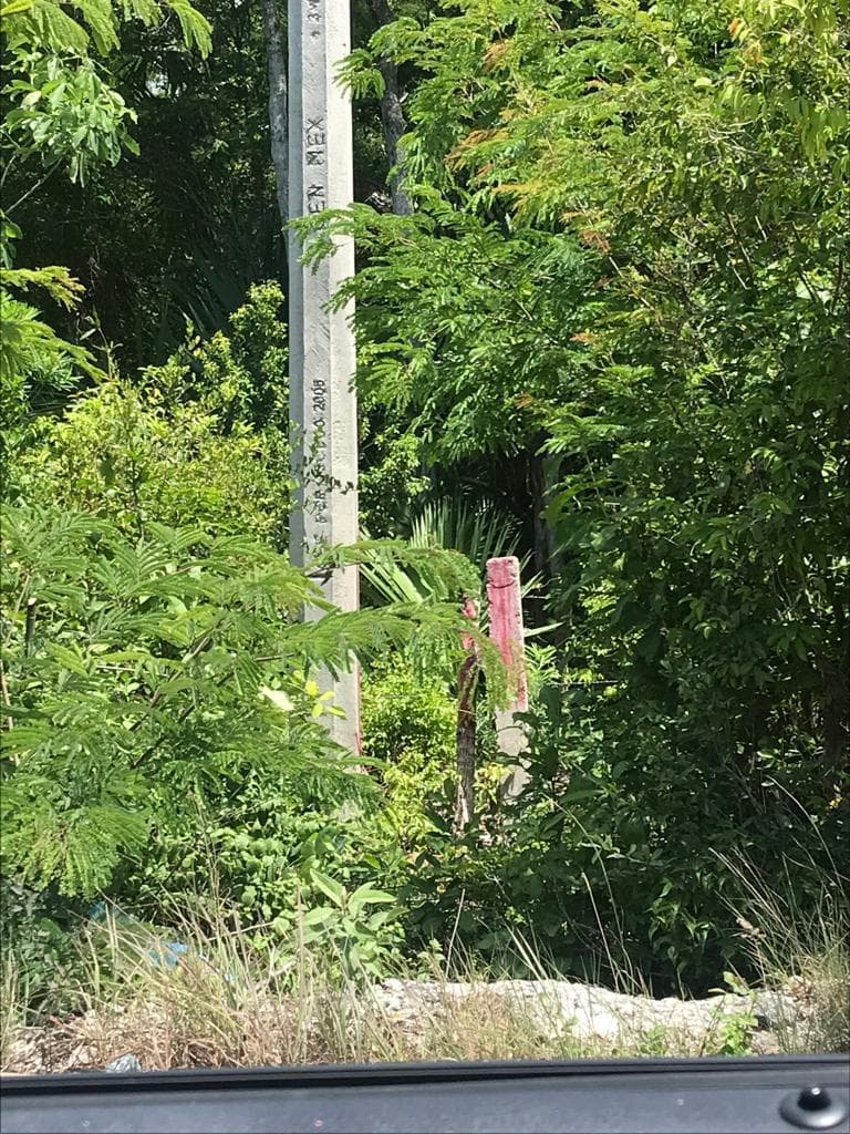 LAND FOR RENT ON FEDERAL HIGHWAY 307, CANCÚN-TULUM