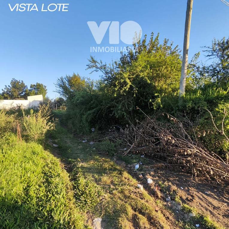 Land in Colón