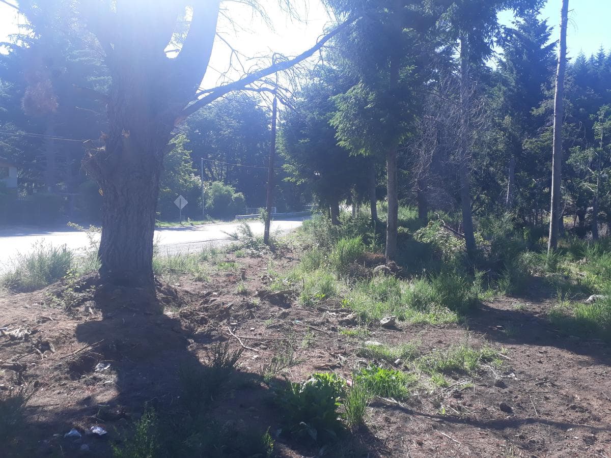 Lot suitable for a tourism venture, on Bustillo Road, km 21 - Bariloche
