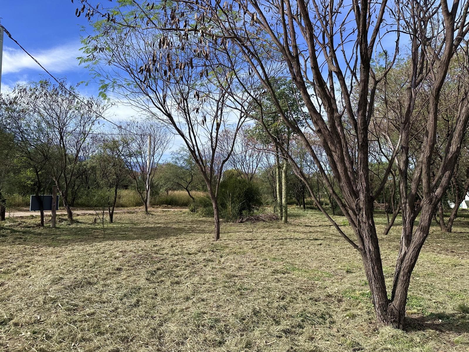 Land for Sale in Boca del Río | Fiber Optics, Water, Electricity, and Deed | Las Tapias