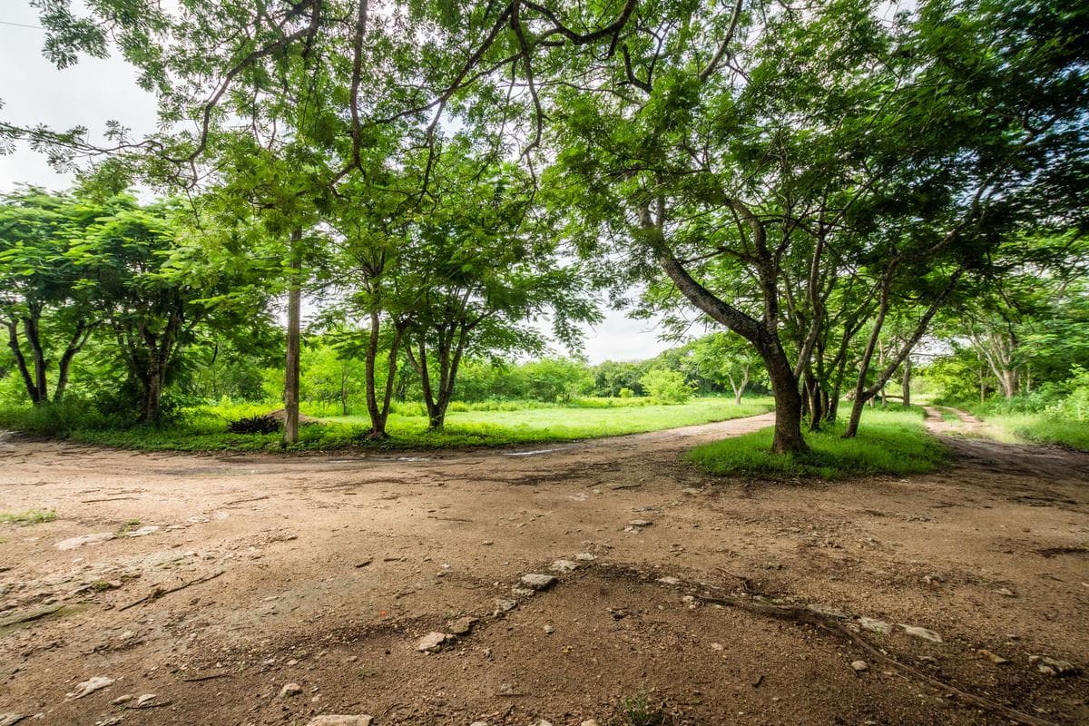 LAND FOR SALE IN CONKAL, MÉRIDA, YUCATÁN