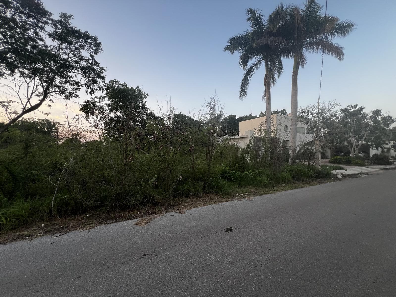 Land for sale in Mérida in a residential gated community with a 30-meter frontage—La Alborada