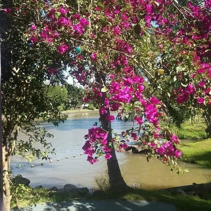 House - Tigre Delta Area