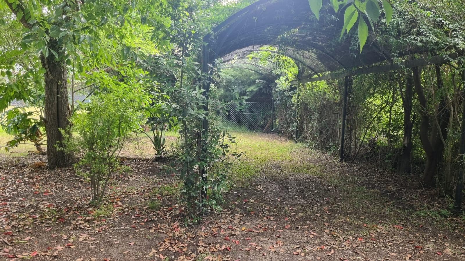 House - Tigre Delta Area