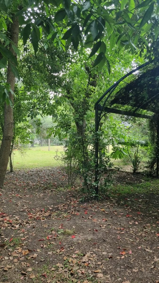 House - Tigre Delta Area