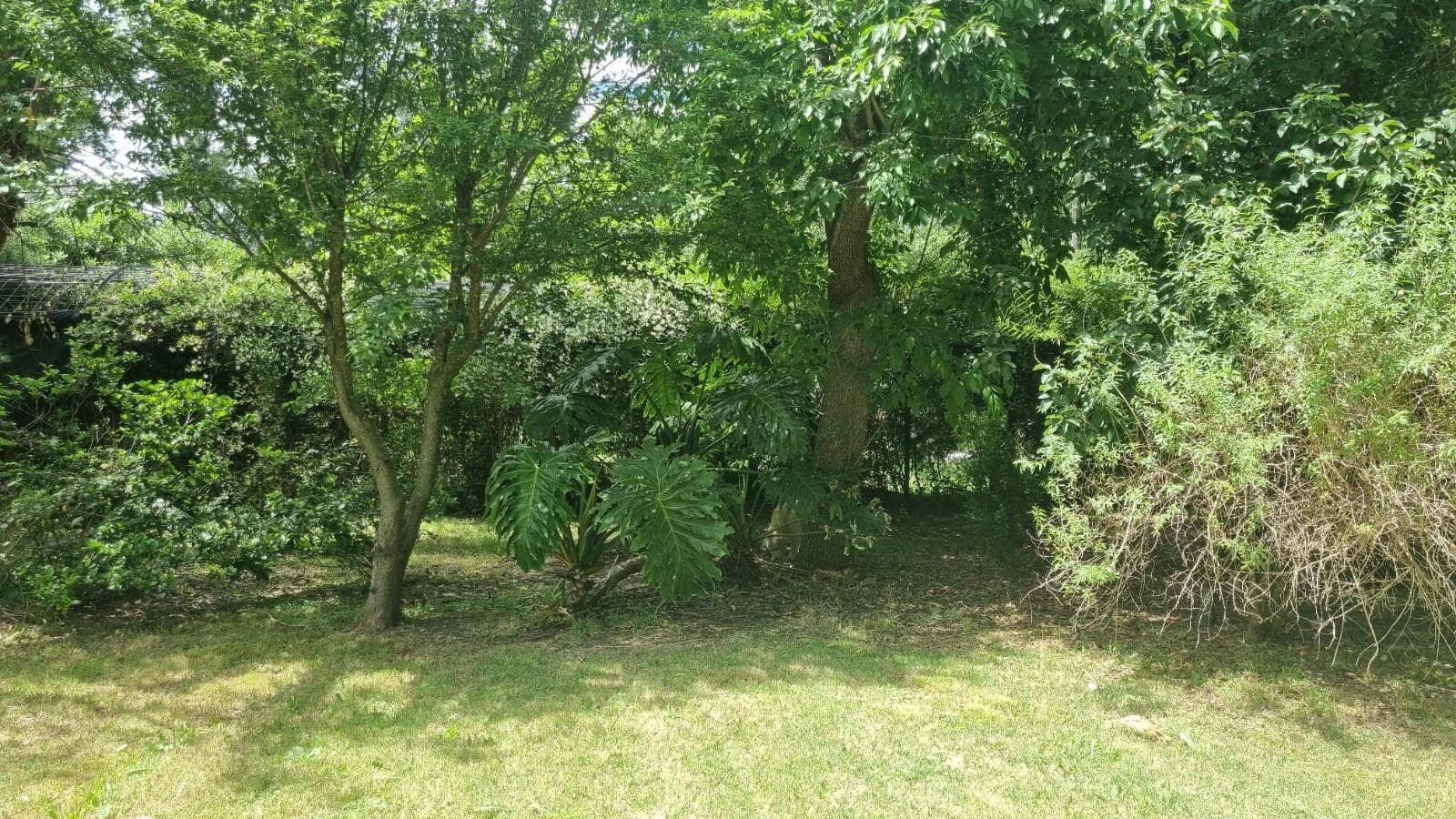 House - Tigre Delta Area