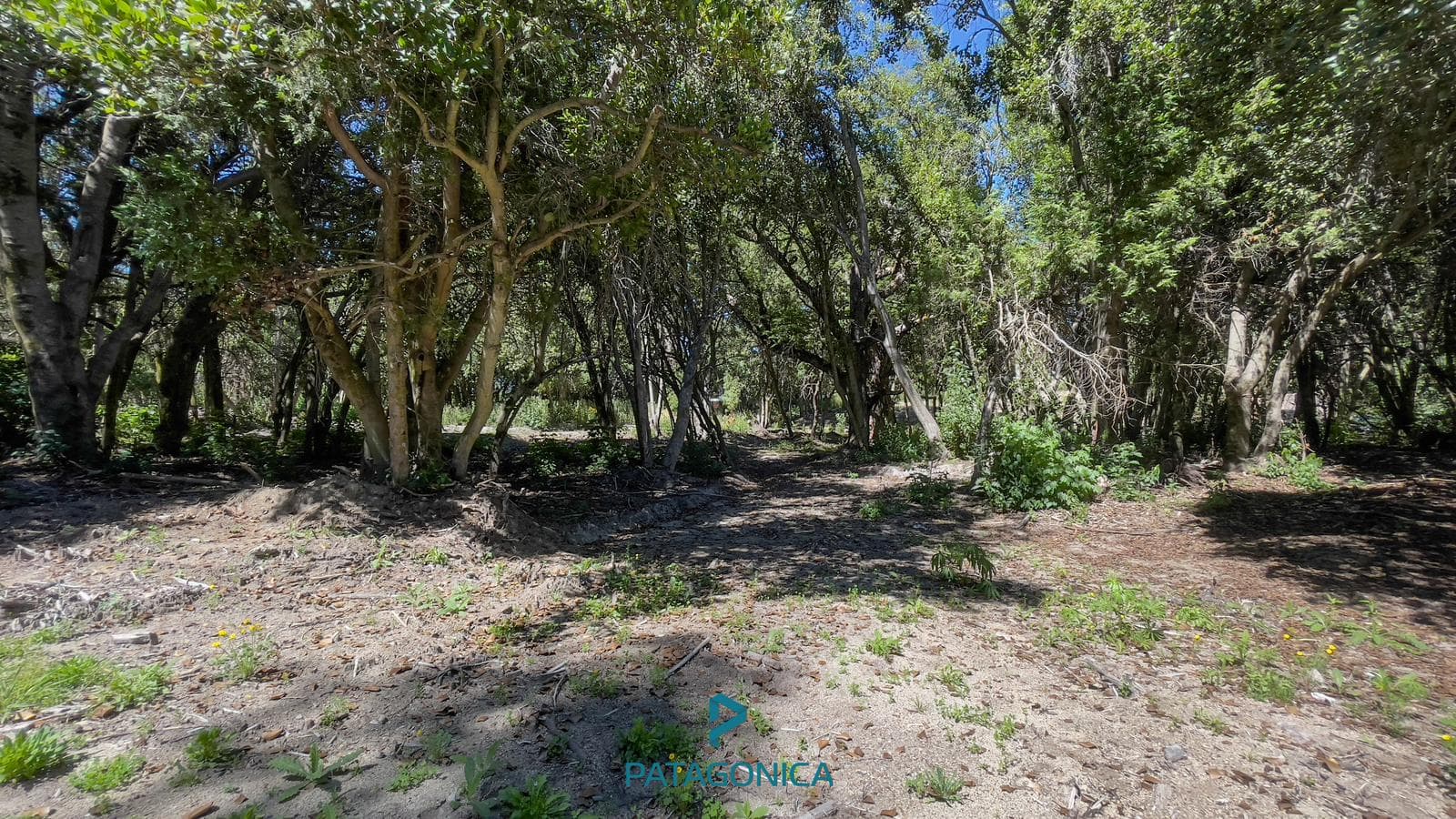 FOR SALE - 920 m² UF2 lot in Lomas del Correntoso, Villa La Angostura