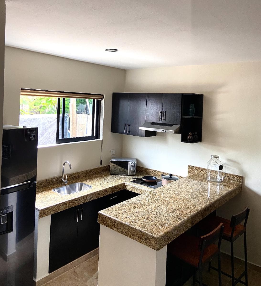 1-Bedroom Apartment in Downtown