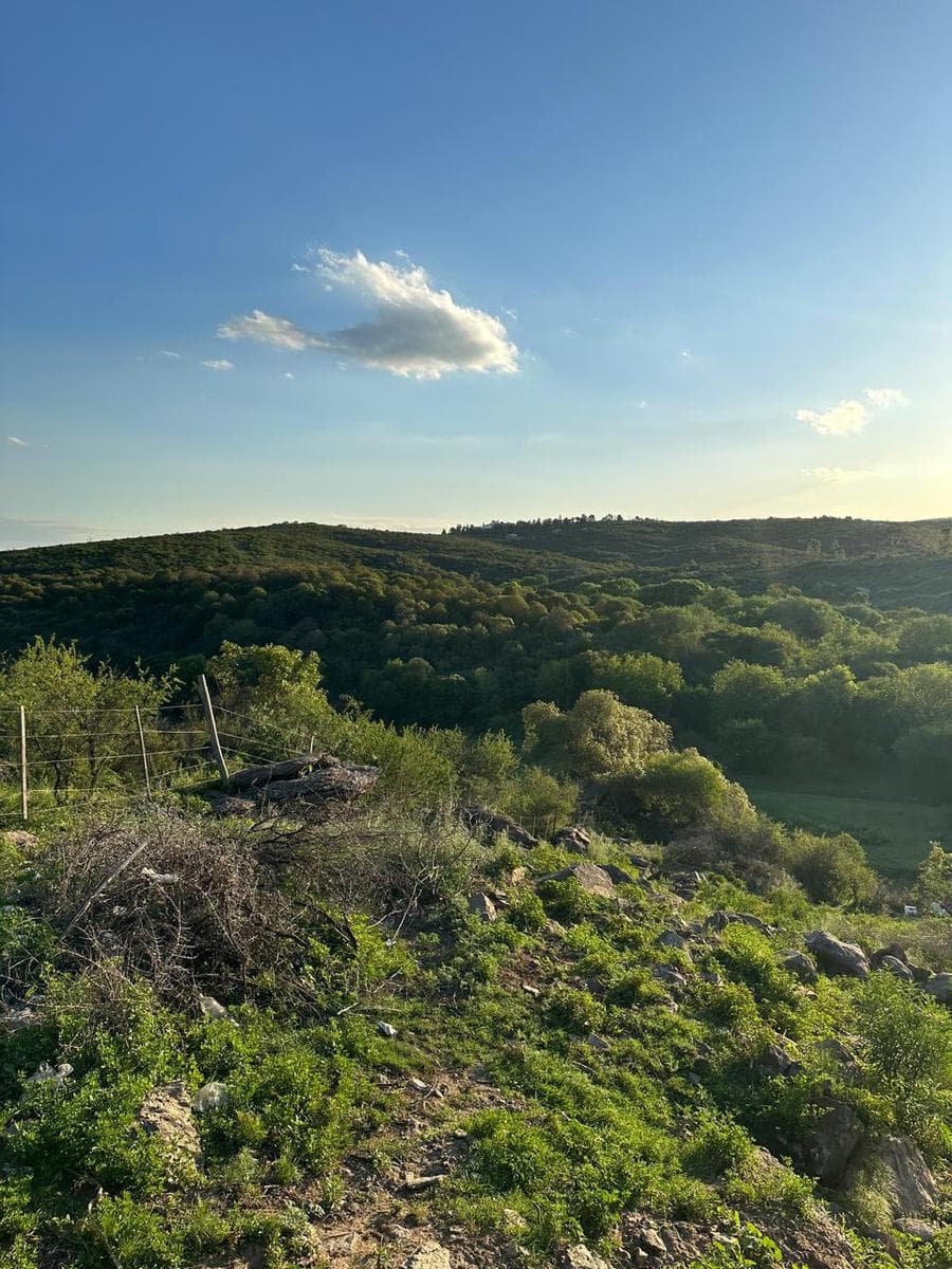 LAND FOR SALE IN THE MOUNTAINS NEAR THE RIVER