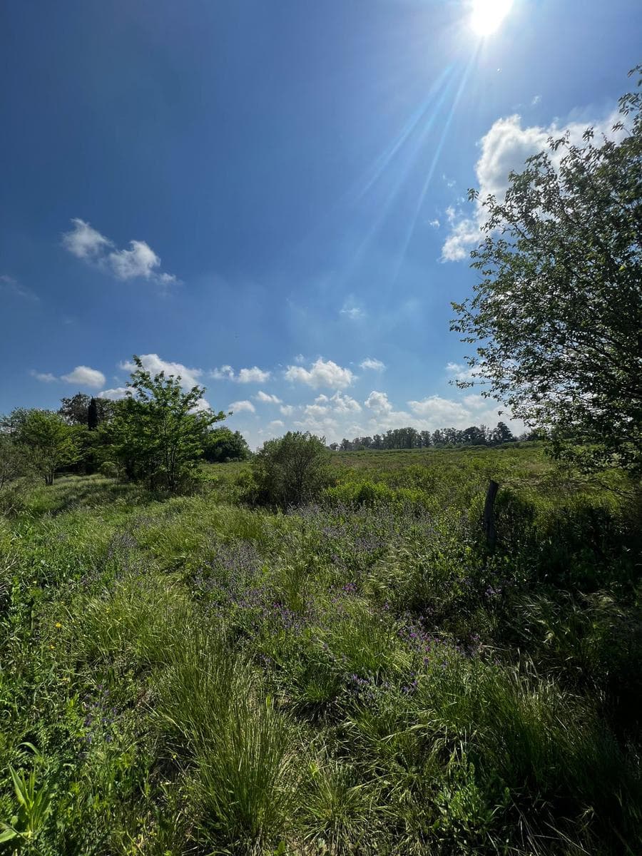 Land in Ibarlucea - Subdivision - Homes - Ideal open neighborhood